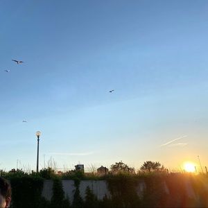 Meet your Posher, Diana